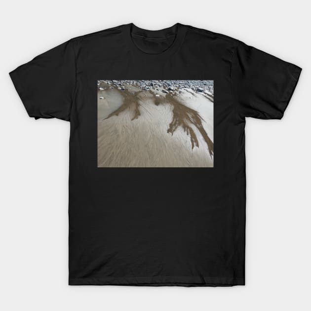 Sand and Water T-Shirt by AlexaZari